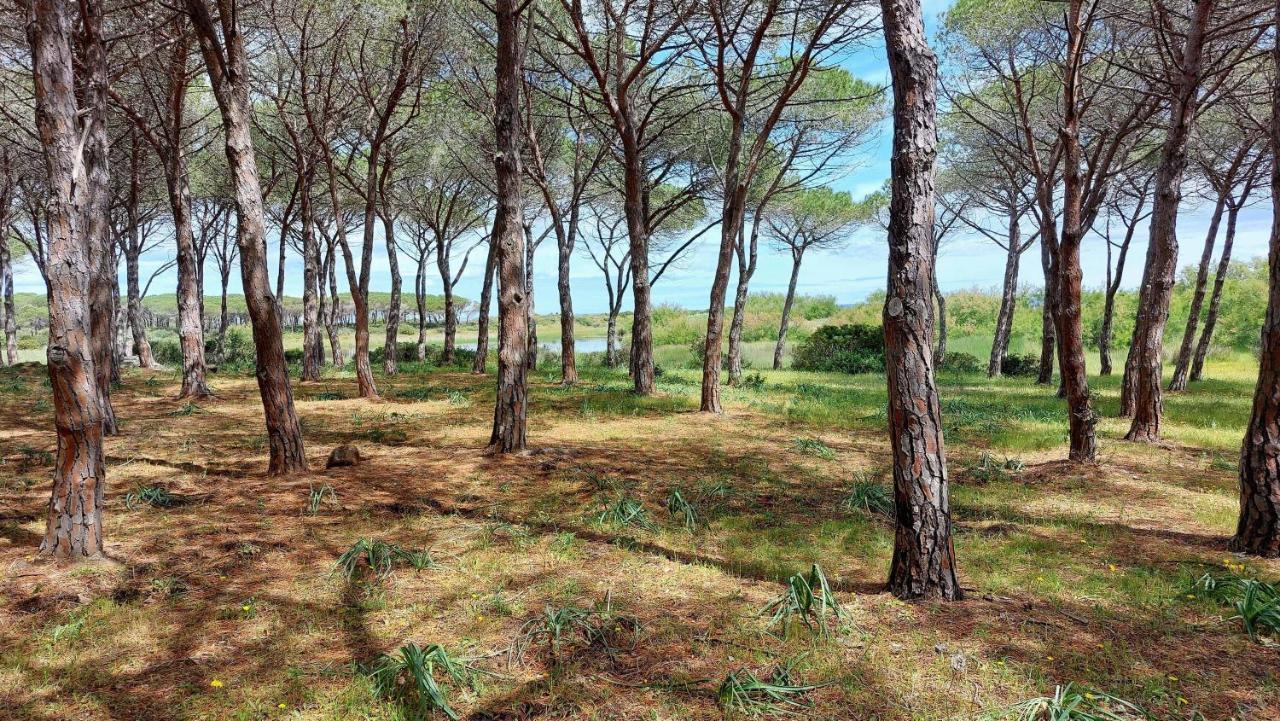 Residenze Pedrame Villa Budoni Bagian luar foto